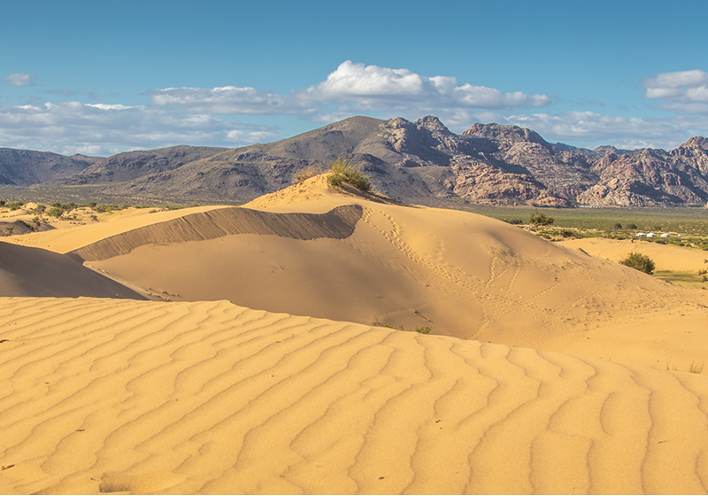 Elsen tasarkha ( little Gobi)